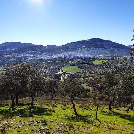 Casa Rural El Trepador Azul Cabeza la Vaca المظهر الخارجي الصورة