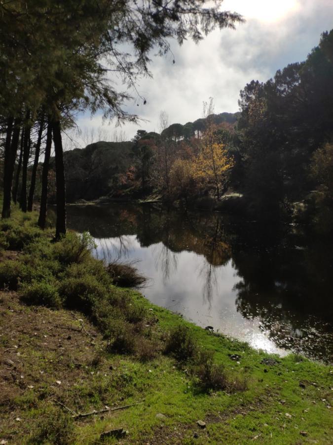 Casa Rural El Trepador Azul Cabeza la Vaca المظهر الخارجي الصورة