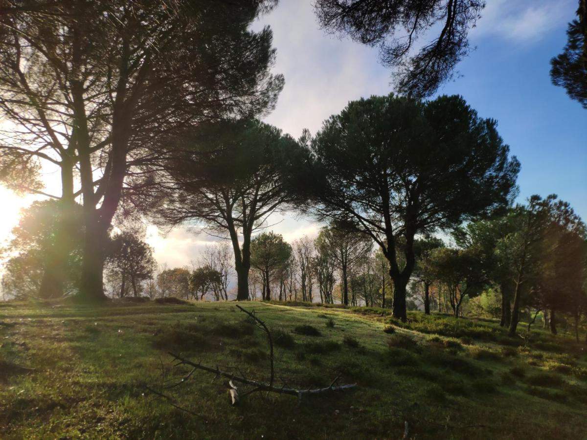 Casa Rural El Trepador Azul Cabeza la Vaca المظهر الخارجي الصورة